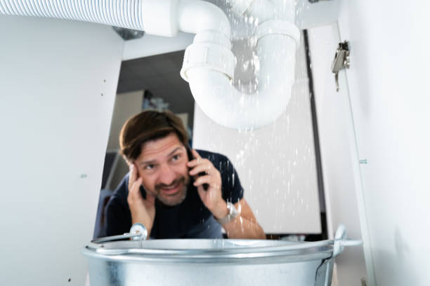 Best Water Leak Repair  in Shelbyville, TN