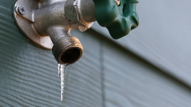 Sprinkler Systems in Shelbyville, TN